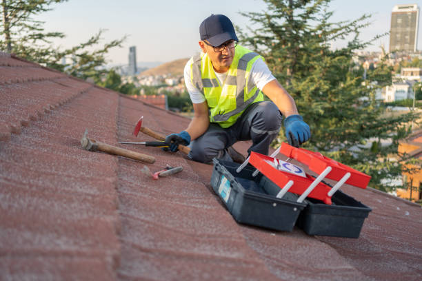 Best Yard Waste Removal  in Foothill Farms, CA